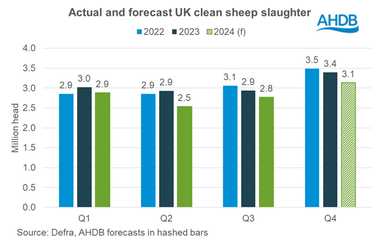 Actual and forecast clean sheep slaughter by quarter